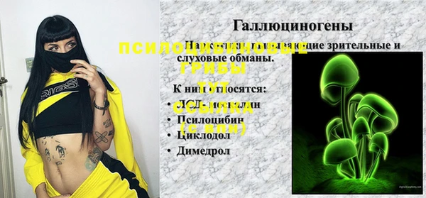 ешки Алексеевка
